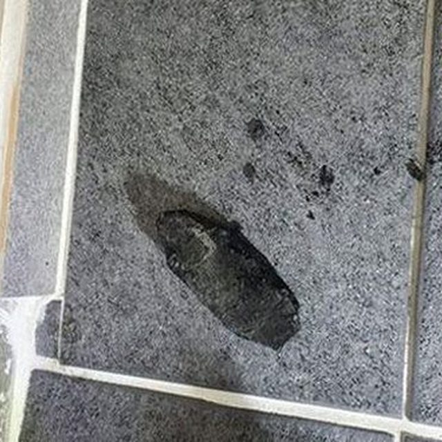 대전 하수구막힘 동구